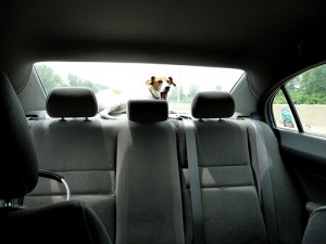 Pass driving test tips - vroome.com